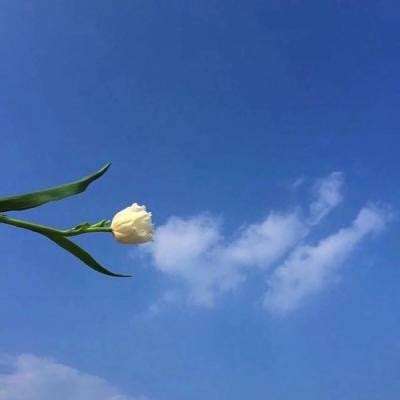 重开乾元内购破解版下载