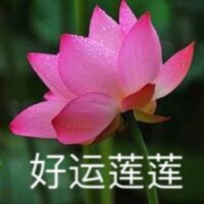 森林对决游戏